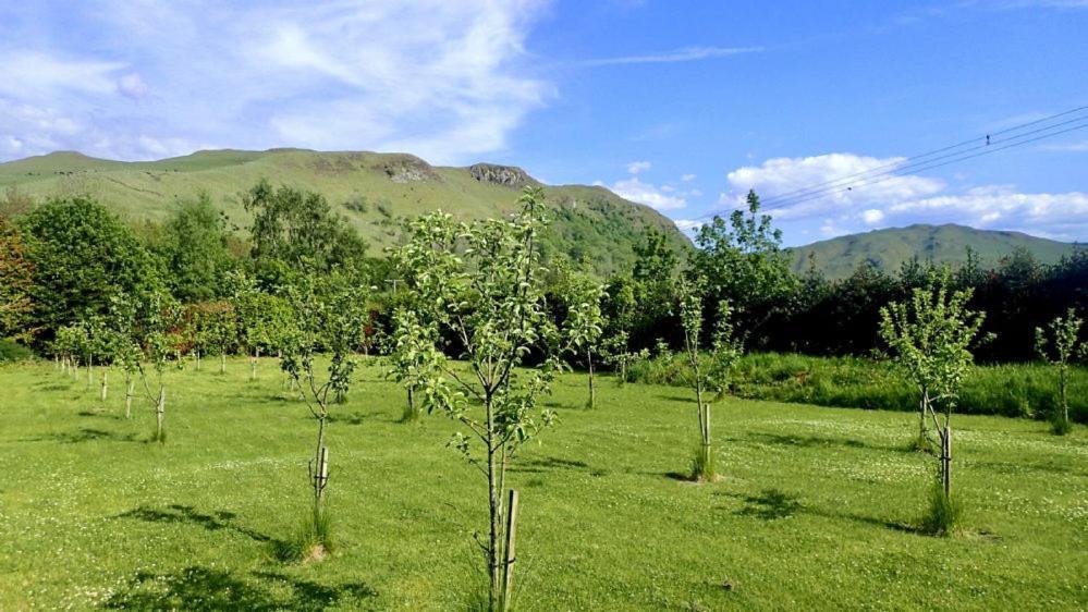 Foxglove Cottage Maybole Dış mekan fotoğraf